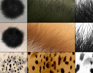 Fur Brushes Photoshop brush