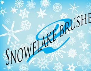 Snowflake Brushes Photoshop brush