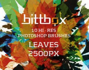 High-Res Leaves Photoshop brush