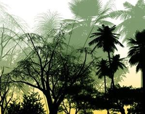 Tree Brush Pack Photoshop brush