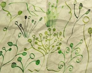 Plant Things Photoshop brush