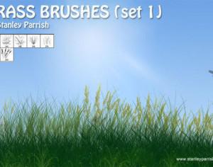 Free Grass Brushes Set 1 Photoshop brush