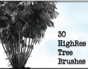 30 HighRes Tree Brushes Photoshop brush