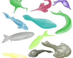 Jawless Fish Brushes Photoshop brush