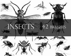 Insects Photoshop brush