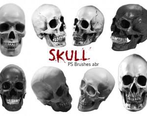 20 Skull PS Brushes abr vol.8 Photoshop brush