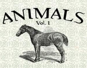 Animals Vol. I Photoshop brush