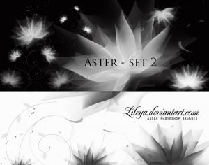 Aster set 2 Photoshop brush