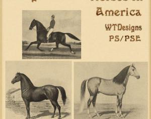 Vintage Brushes Horses in America Photoshop brush