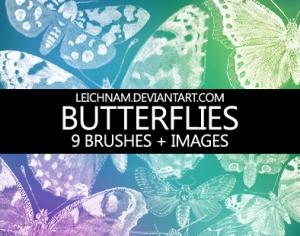 Butterflies Brushes Photoshop brush
