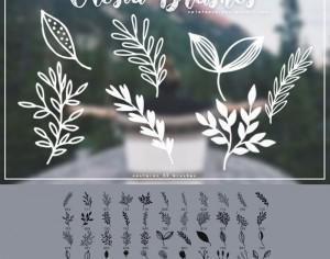 45 Free Plant Brushes Photoshop brush