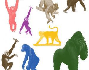 Apes Brushes Photoshop brush