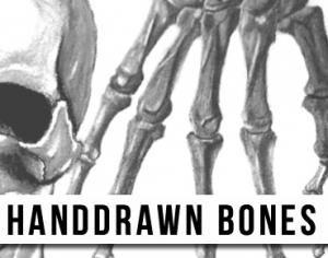 Handdrawn Bones Brushes Photoshop brush