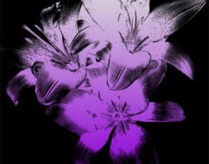 Lily Flowers Brush Photoshop brush