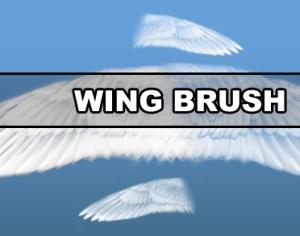 Wing Brush Photoshop brush