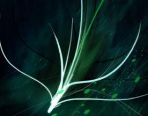 Green Lotus Brushes Photoshop brush