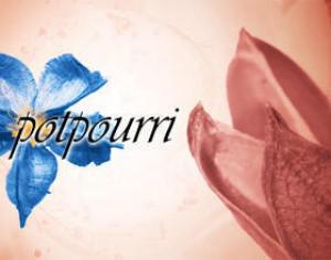 Potpourri Photoshop Brushes Photoshop brush