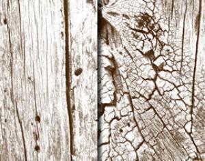 Free High Res Wooden Textures Photoshop brush