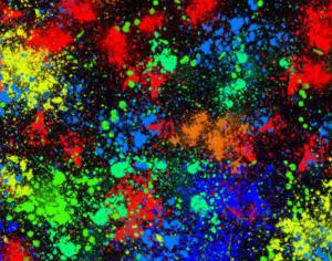 Splatter Brushes No 2 Photoshop brush