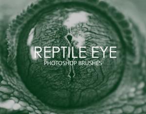Free Reptile Eye Photoshop Brushes Photoshop brush