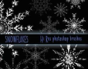 Hi Res Snowflake Brushes Photoshop brush