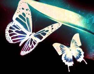 Butterfly brushes Photoshop brush