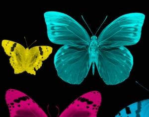 Butterflies brush Photoshop brush