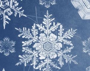 Snowflake Brushes Photoshop brush