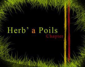 Herb' a Poils Grass Brushes Chapter 2 Camisole Pictures Brushes Photoshop brush