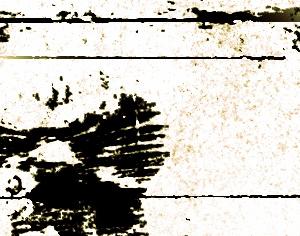 Assorted Grunge Brushes Photoshop brush