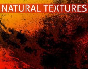 Natural Texture Brushes Photoshop brush