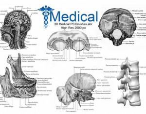 20 Medical PS Brushes.abr Vol.13 Photoshop brush