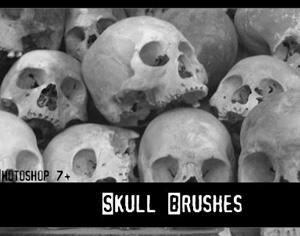 Skull brushes Photoshop brush