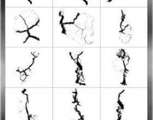Cracked Brushes Photoshop brush