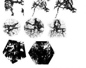 Grunge Brushes - Set of 24 Photoshop brush