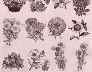 Vintage Flowers Brushes Photoshop brush