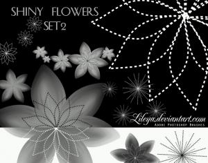 Shiny Flowers set 2 Photoshop brush