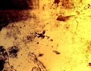 7 Assorted Grunge-Rust Brushes Photoshop brush