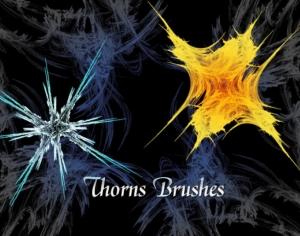 Thorns Brushes Photoshop brush