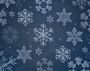12 Snowflakes Brushes Photoshop brush