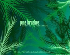 Pine Brushes - MEGA PACK Photoshop brush
