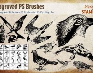 Engraved Bird PS Brushes Photoshop brush