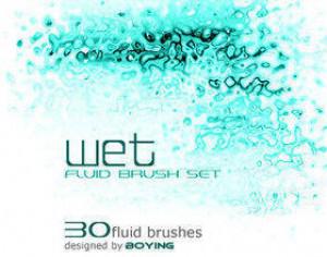 Fluid Brush Photoshop brush