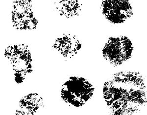 Mandarin Orange Skin Brushes Photoshop brush