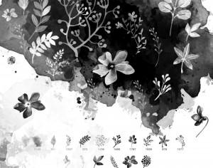 16 Watercolor Floral Brushes Photoshop brush