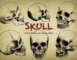 20 Skull PS Brushes abr "Engraved" vol.6  Photoshop brush