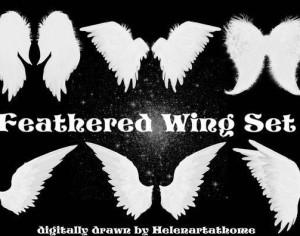 Feathered Wing Set Photoshop brush