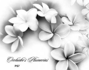 Flower Brushes Photoshop brush