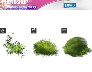 3 Foliage Brushes Photoshop brush