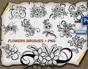 11 Flower Ornaments Brushes Photoshop brush